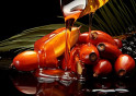 Consuming Palm Oil Reduces The Risk of Cancer, Gets Rid Of Dandruff, And Eases Pain
